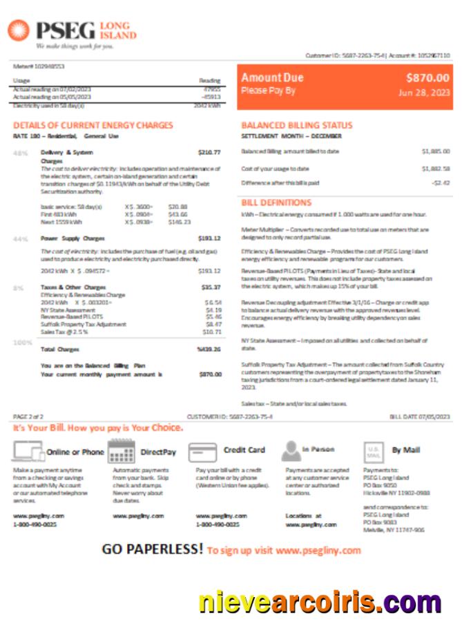 New Jersey PSEG electricity utility bill,, page 1